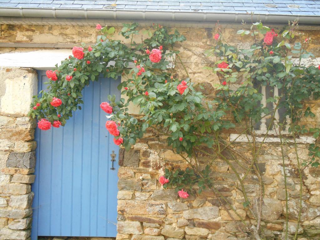 Au Presbytere De Dagmar Erbrée Exterior foto