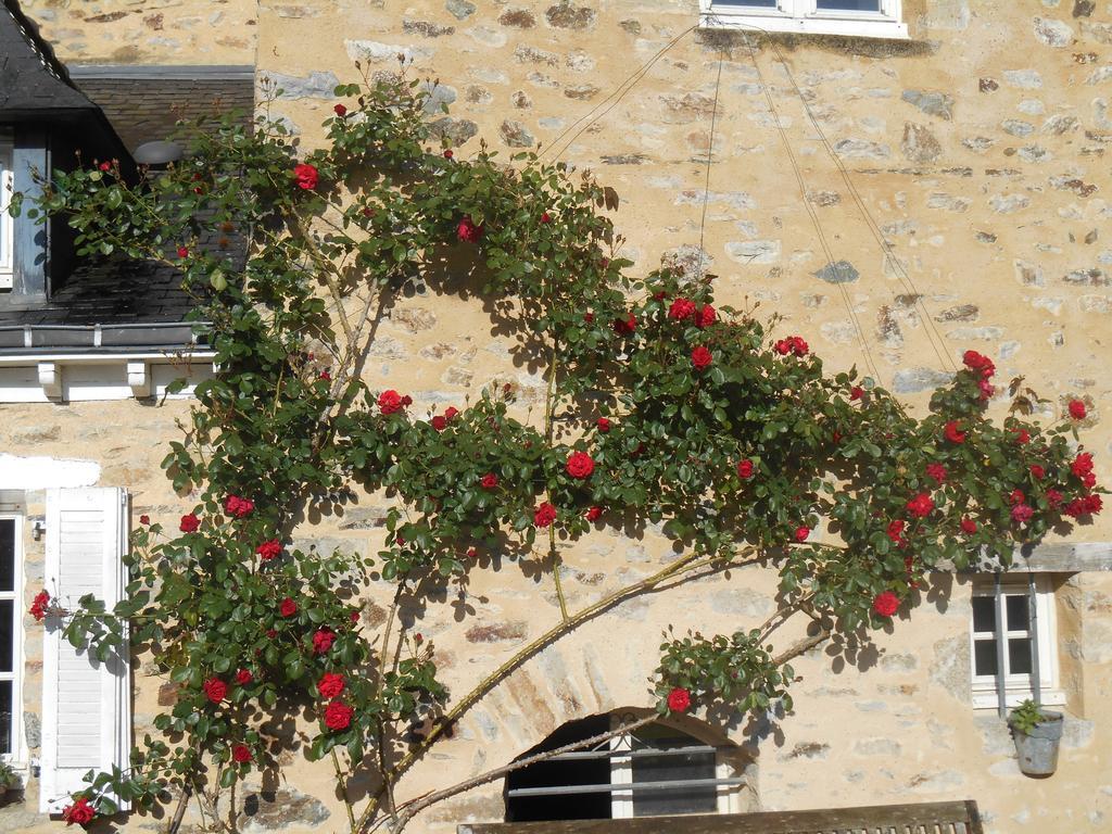 Au Presbytere De Dagmar Erbrée Exterior foto